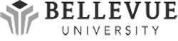 Bellevue University